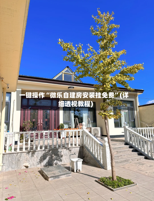 一键操作“微乐自建房安装挂免费	”(详细透视教程)-第2张图片