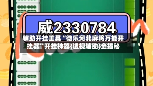 辅助开挂工具“微乐河北麻将万能开挂器”开挂神器{透视辅助}全揭秘-第2张图片