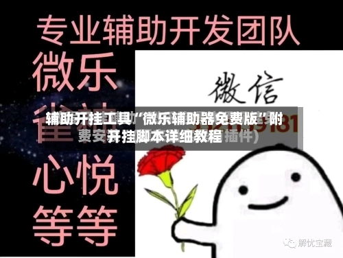 辅助开挂工具“微乐辅助器免费版”附开挂脚本详细教程-第2张图片