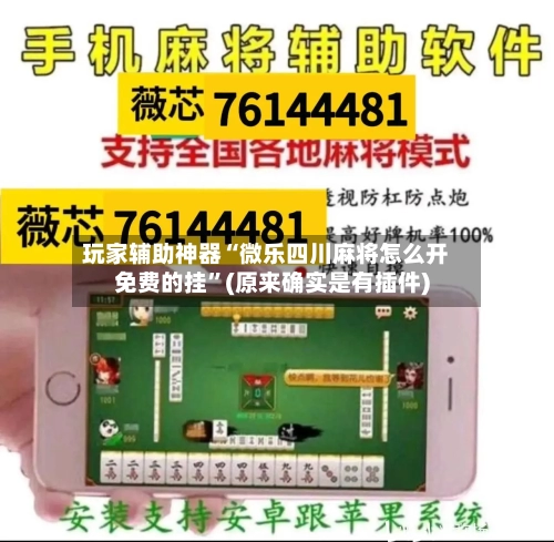 玩家辅助神器“微乐四川麻将怎么开免费的挂”(原来确实是有插件)