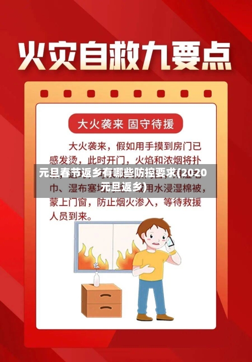 元旦春节返乡有哪些防控要求(2020元旦返乡)-第2张图片