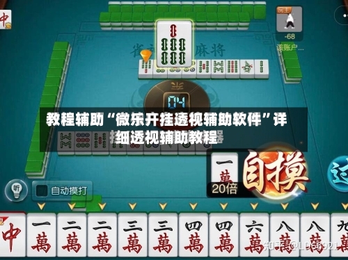 教程辅助“微乐开挂透视辅助软件	”详细透视辅助教程-第2张图片