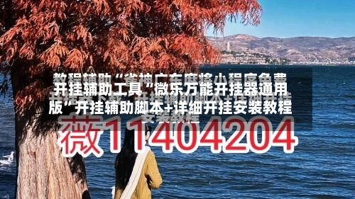 开挂辅助工具“微乐万能开挂器通用版”开挂辅助脚本+详细开挂安装教程-第3张图片