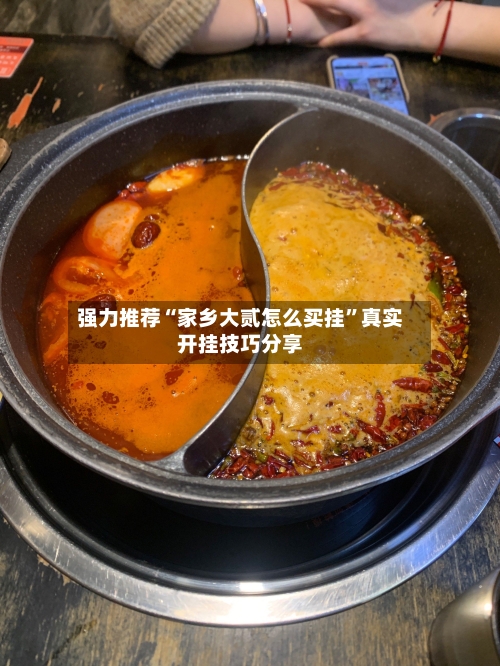 强力推荐“家乡大贰怎么买挂”真实开挂技巧分享