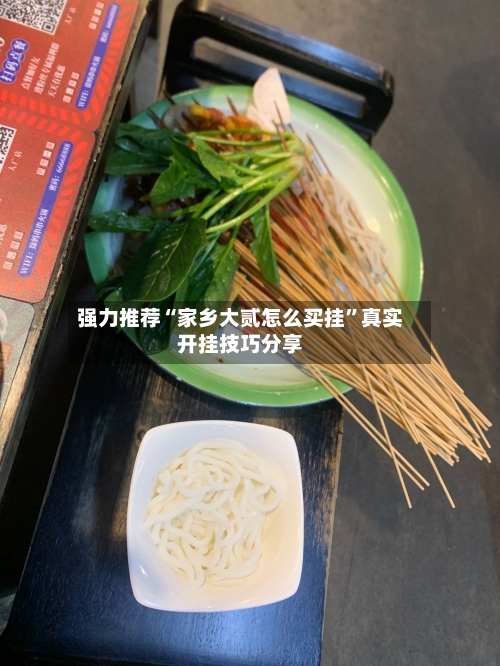 强力推荐“家乡大贰怎么买挂”真实开挂技巧分享-第3张图片