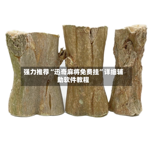 强力推荐“迅奇麻将免费挂”详细辅助软件教程-第3张图片