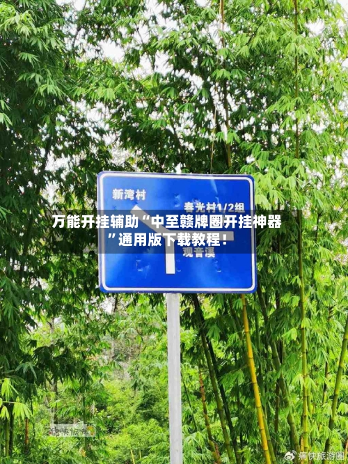 万能开挂辅助“中至赣牌圈开挂神器”通用版下载教程！-第3张图片