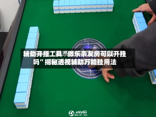 辅助开挂工具“微乐亲友房可以开挂吗”揭秘透视辅助万能挂用法-第2张图片