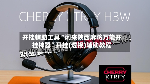 开挂辅助工具“闲来陕西麻将万能开挂神器”开挂(透视)辅助教程-第3张图片