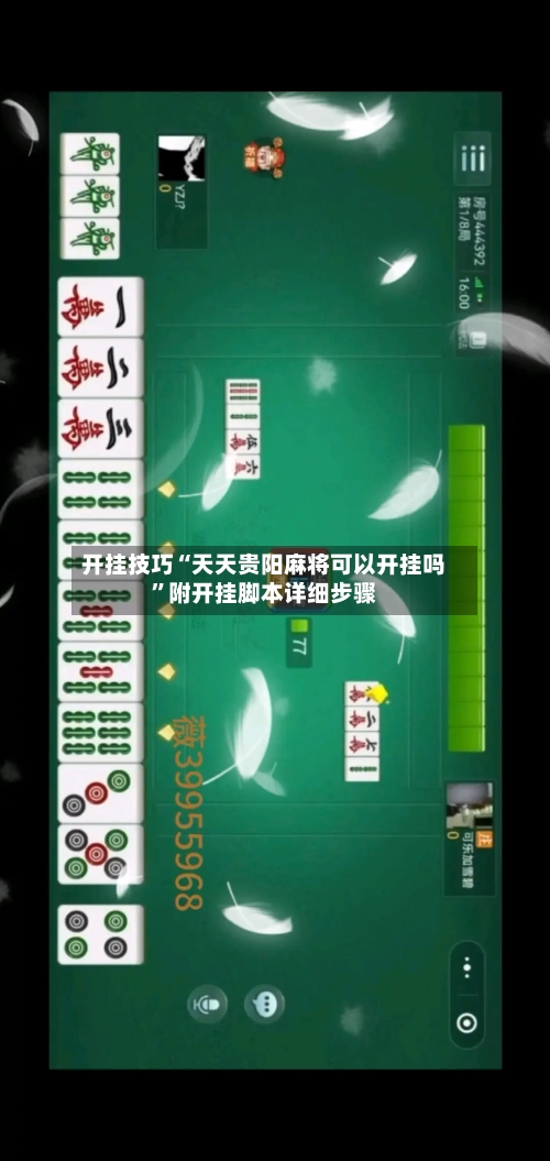 开挂技巧“天天贵阳麻将可以开挂吗”附开挂脚本详细步骤-第2张图片