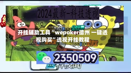 开挂辅助工具“wepoker德州 一键透视购买”透视开挂教程-第2张图片