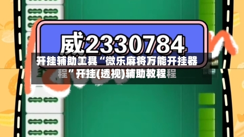 开挂辅助工具“微乐麻将万能开挂器”开挂(透视)辅助教程-第3张图片