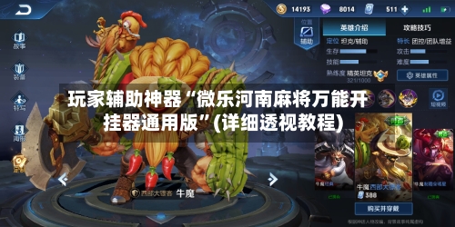 玩家辅助神器“微乐河南麻将万能开挂器通用版”(详细透视教程)-第2张图片