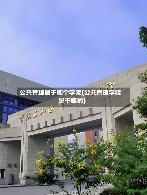公共管理属于哪个学院(公共管理学院是干嘛的)-第2张图片