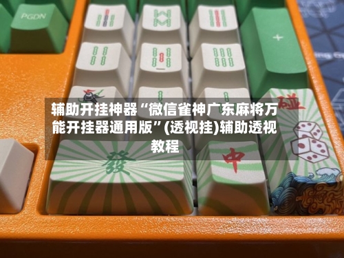 辅助开挂神器“微信雀神广东麻将万能开挂器通用版	”(透视挂)辅助透视教程-第2张图片