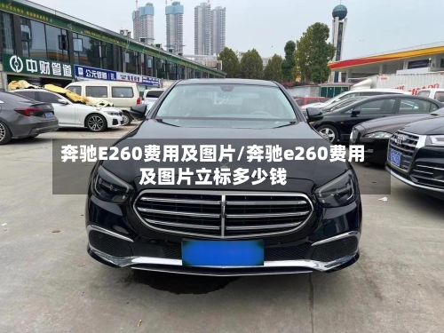 奔驰E260费用及图片/奔驰e260费用及图片立标多少钱-第3张图片