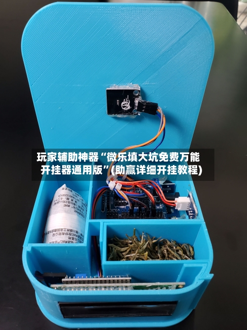 玩家辅助神器“微乐填大坑免费万能开挂器通用版”(助赢详细开挂教程)-第3张图片